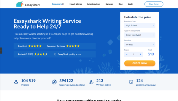 essay writing wordpress