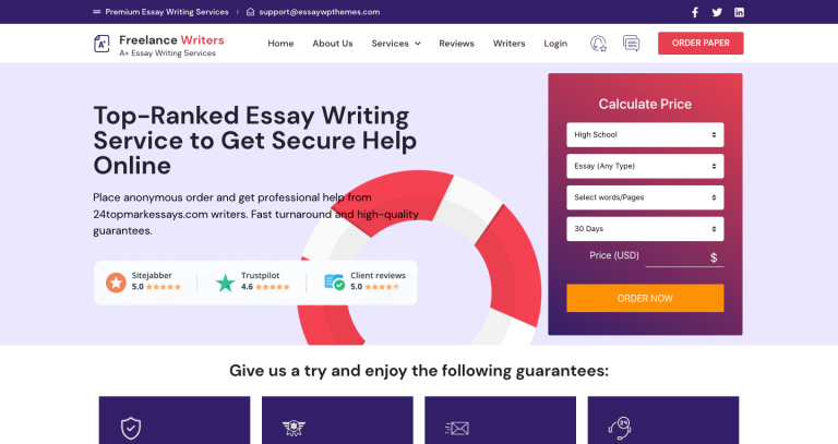 essay writing wordpress theme